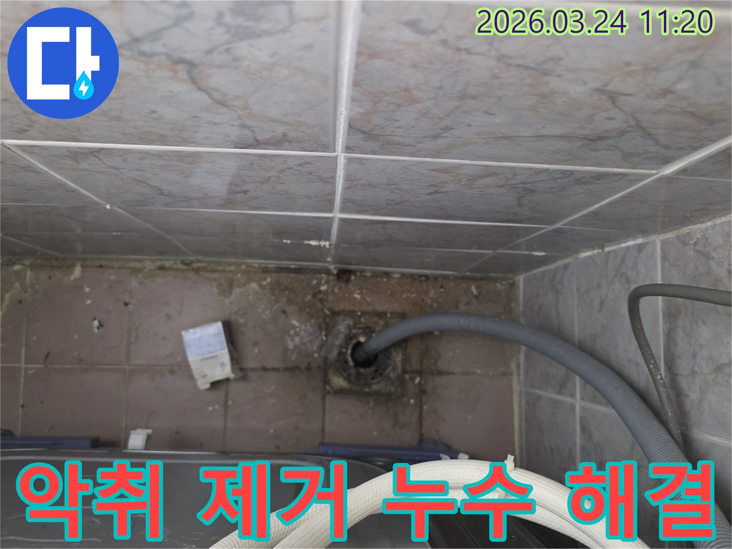 세탁실-바닥-배수구-주변에서-발생한-누수로-인한-심각한-악취와-오염-제거가-필요한-현장