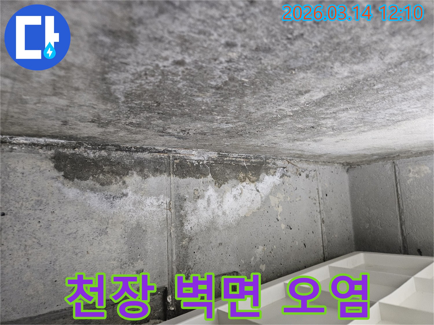 콘크리트-천장과-벽면-경계에서-발견된-누수-흔적과-습기-오염