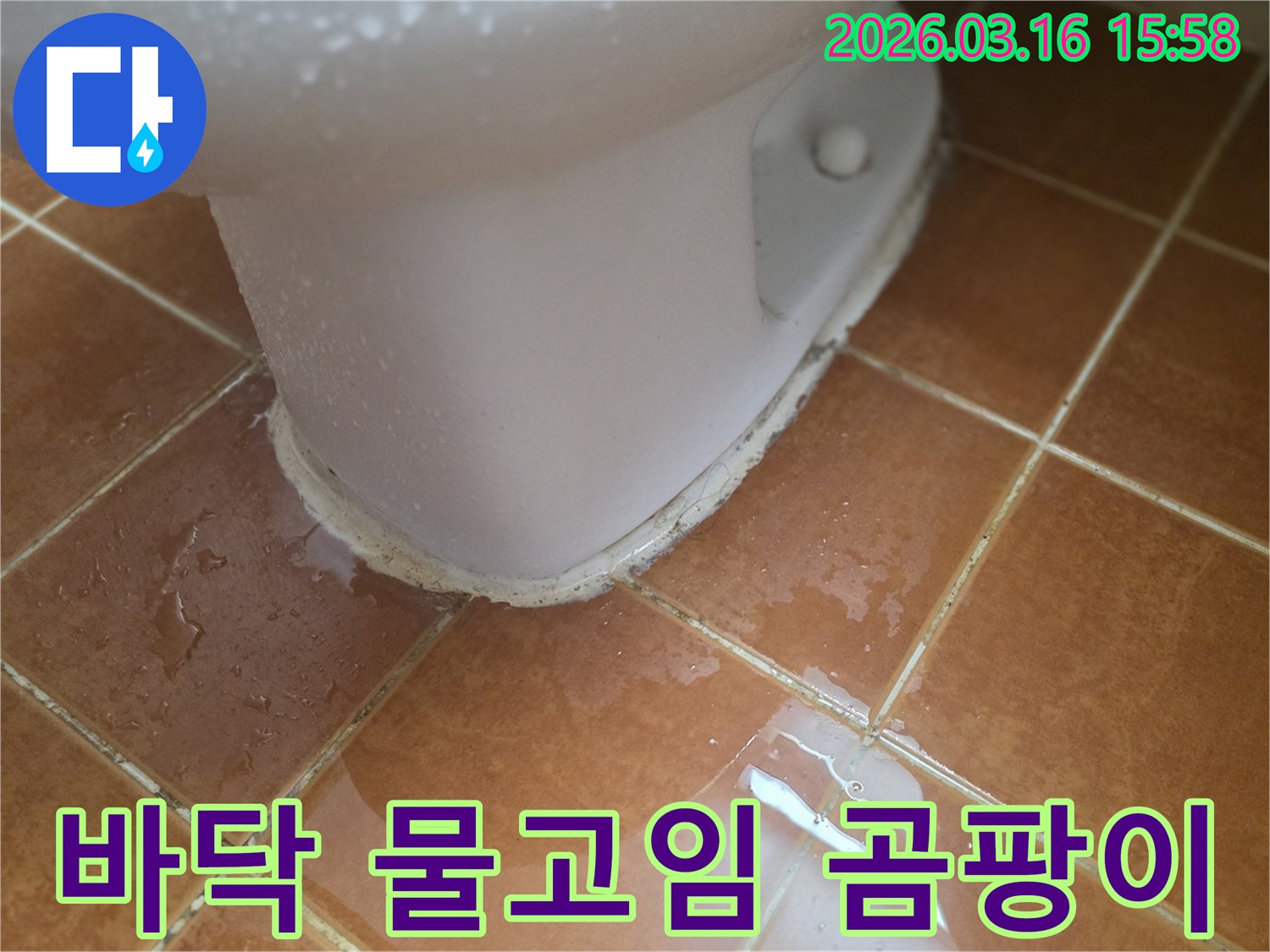 변기 하부에서 새어 나온 물이-바닥 타일에 고여-곰팡이와 악취가 우려되는 현장입니다