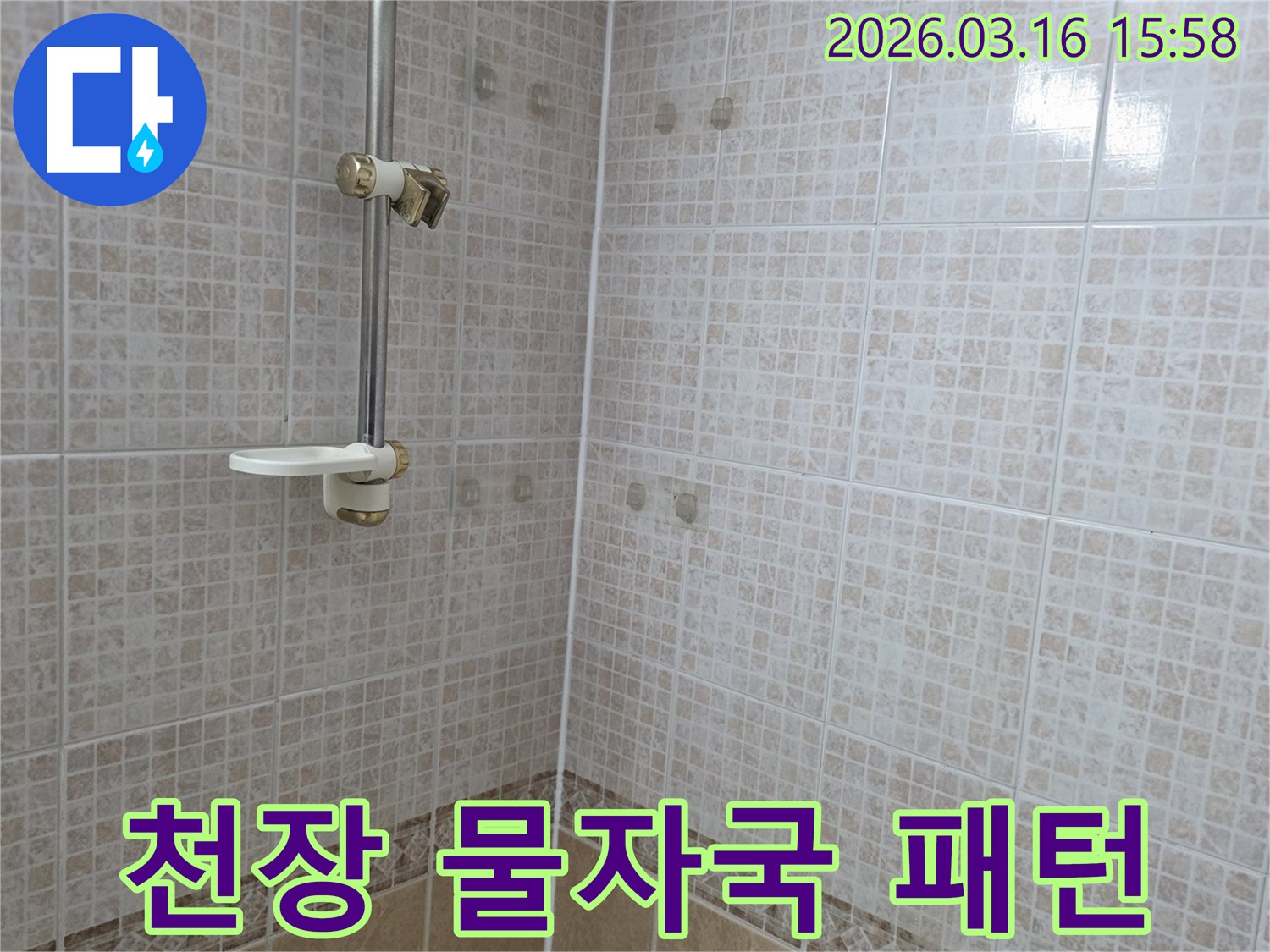 욕실 천장 타일에 물이 새어 생긴-물자국 패턴을 누수 전문가가 분석하는 모습