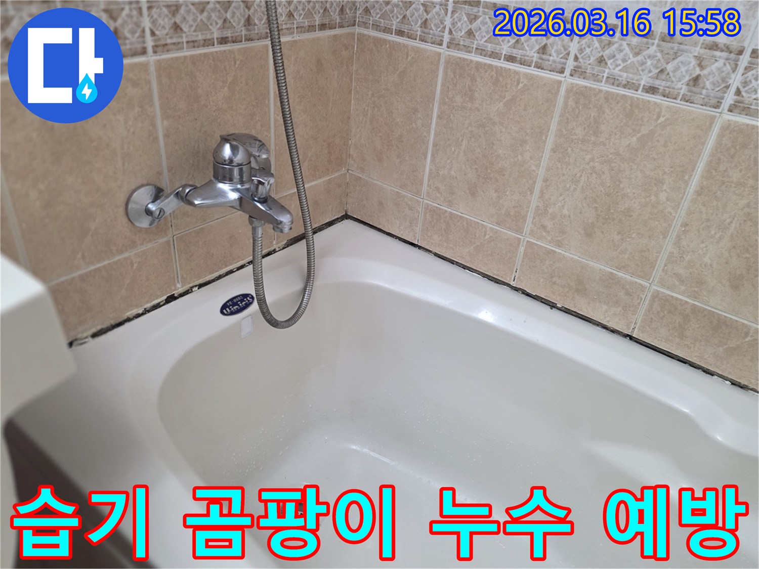 욕조-수전-및-샤워기-주변의-습기로-인한-곰팡이와-누수-가능성을-점검하는-전문가의-시선