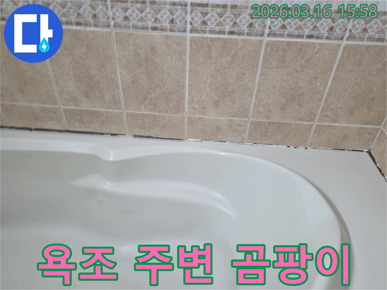 욕조와-타일-경계면에-발생한-검은-곰팡이는-지속적인-습기-침투와-누수-가능성을-시사하며-건강에도-해로울-수-있습니다.