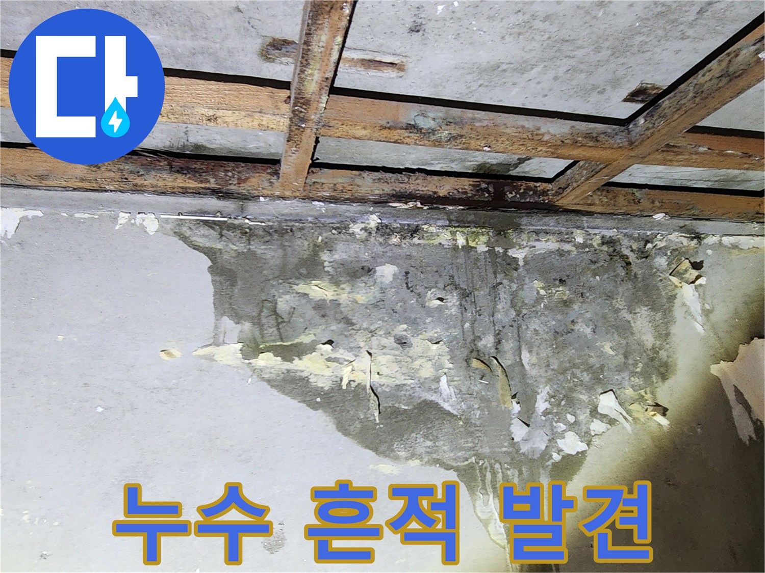 물기가 머금어진 젖은 벽면-누수 지점 점검
