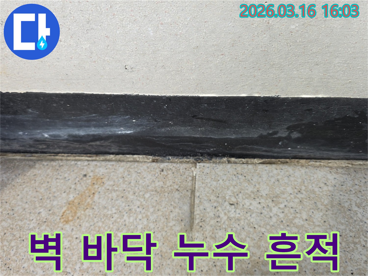 벽과 바닥 경계에서 발견된 누수 흔적-타일과 걸레받이에 물자국과 백화 현상이 보입니다