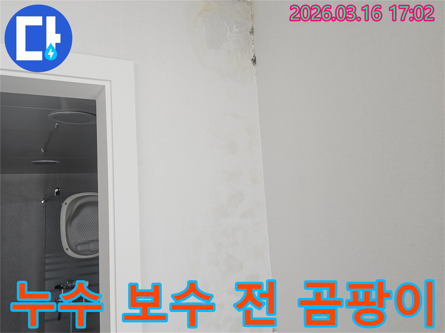 누수 보수 전-욕실 천장 모서리에 심하게 번진 곰팡이와 얼룩을 보여주는 현장 사진입니다