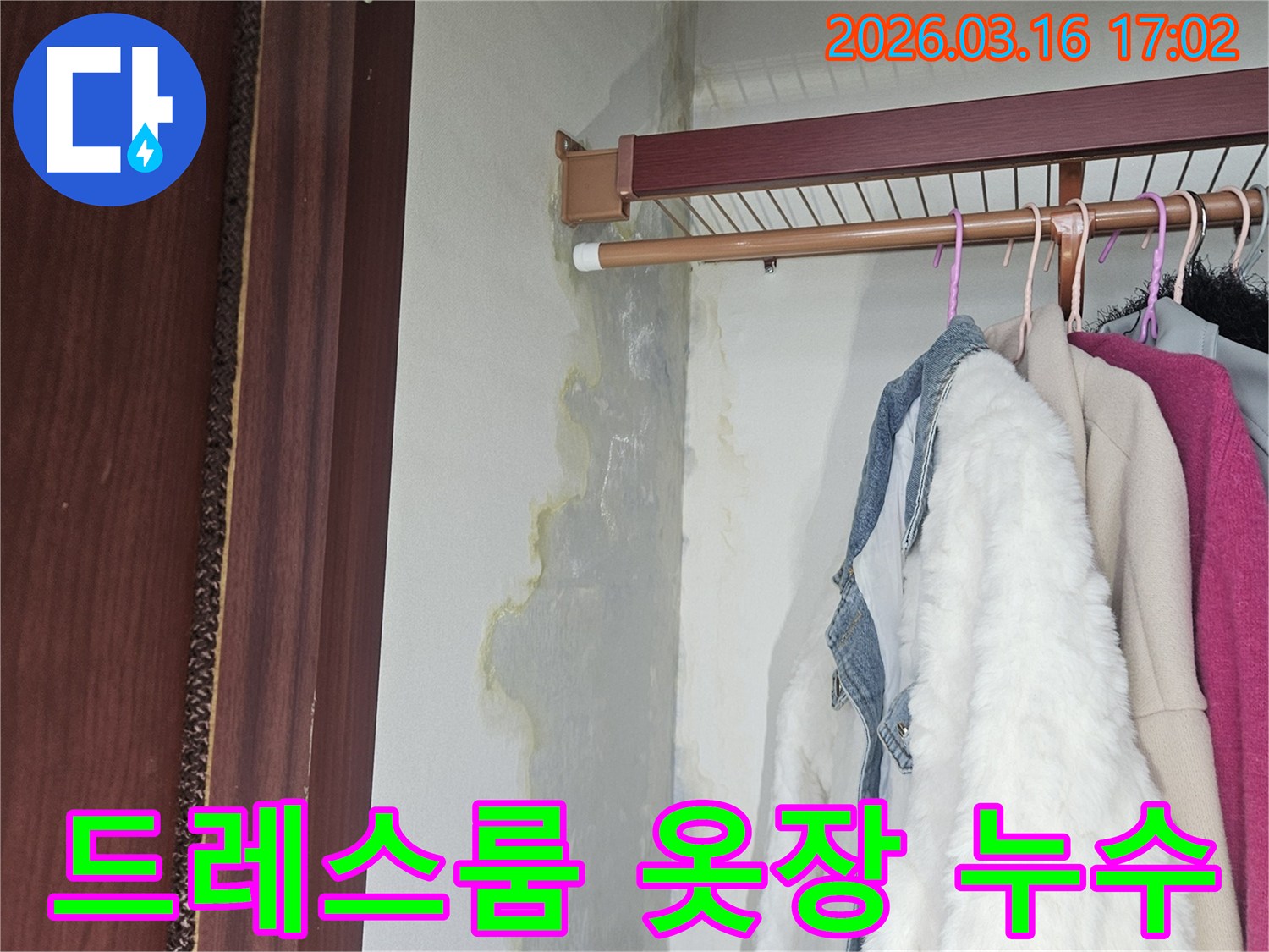 드레스룸 옷장 내부-벽면과 바닥에-누수로 인한-심한 물자국과-곰팡이가 피어있는 모습