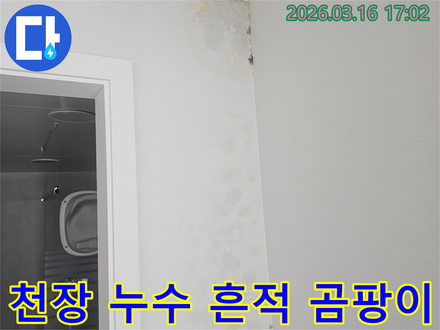 욕실 천장 모서리에 발생한 누수-얼룩과 곰팡이 흔적을 보여주는 사진입니다