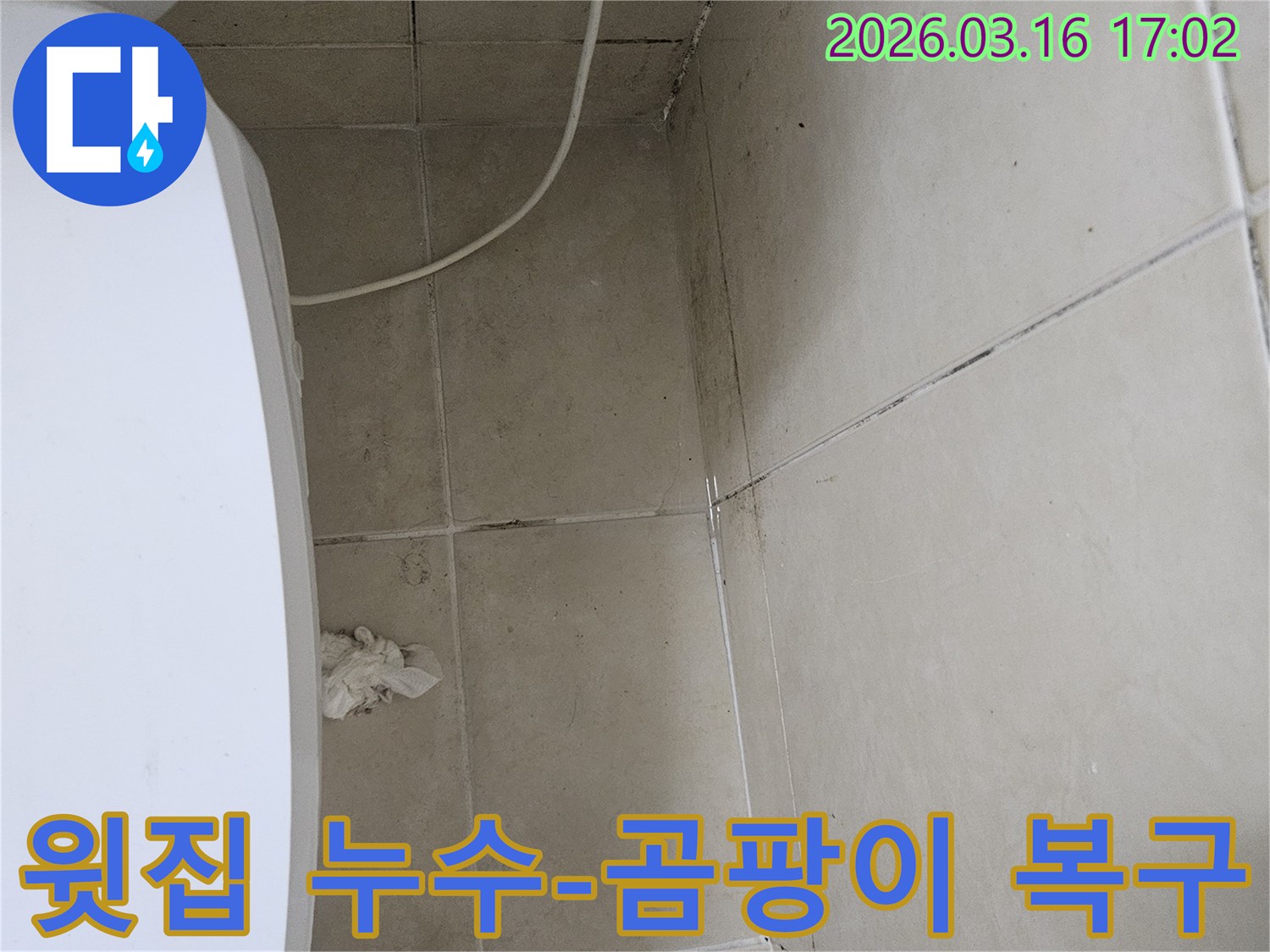 윗집 누수로 인해 화장실 천장과 벽면 타일에 검은 곰팡이가 넓게 퍼져있으며-천장 마감재가 손상된 현장입니다
