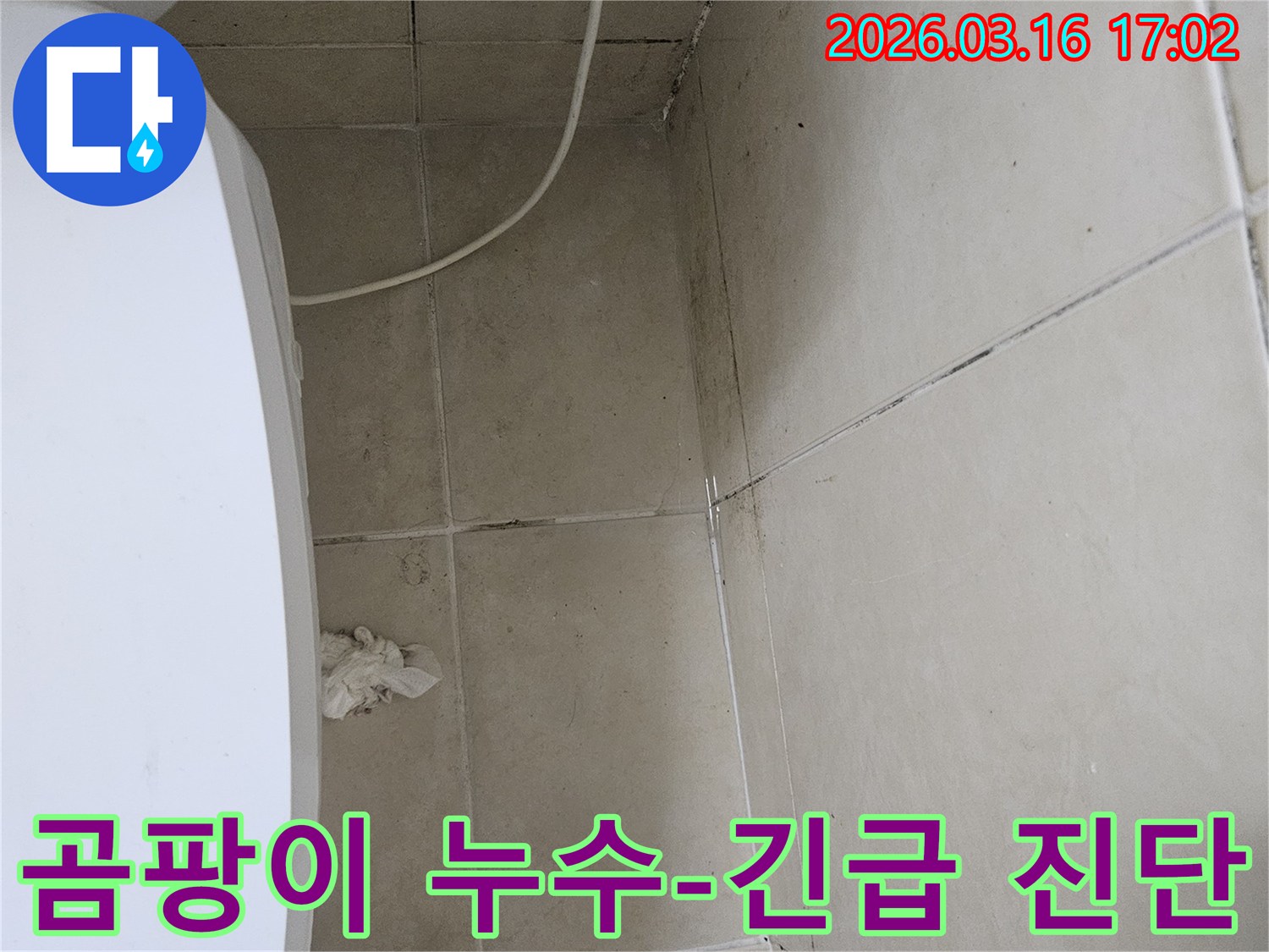 천장과 벽면 타일에 검은 곰팡이가 넓게 퍼져있으며-이는 누수로 인한 습기 축적의 명확한 증거입니다