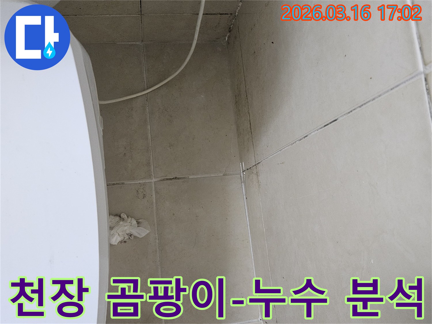 천장과 벽면 타일에 검은 곰팡이가 넓게 퍼져있으며-타일 사이의 줄눈에도 물자국이 보이는 누수 현장 사진입니다