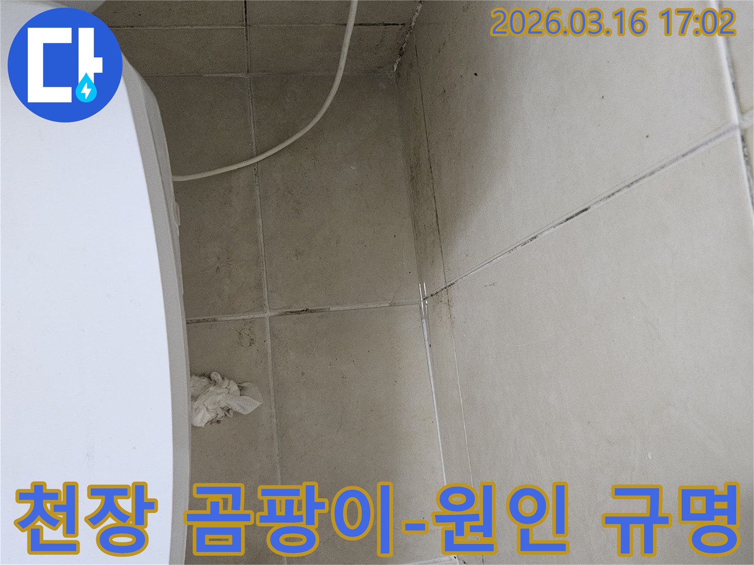 화장실 천장과 벽면 타일에 검은 곰팡이가 넓게 퍼져있으며-이는 누수로 인한 습기 축적의 명확한 증거입니다