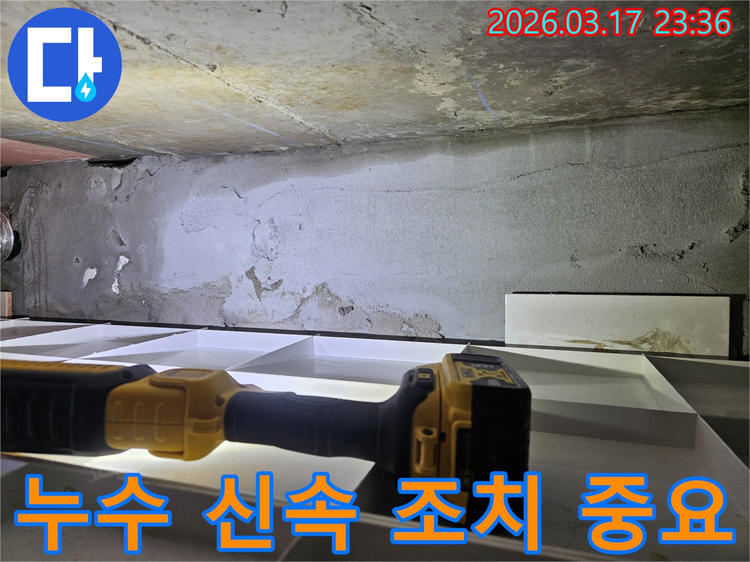 누수 전문 엔지니어가-천장 누수 현장에서-신속한 조치의 중요성을 강조하며-정밀 진단을 진행하고 있습니다.