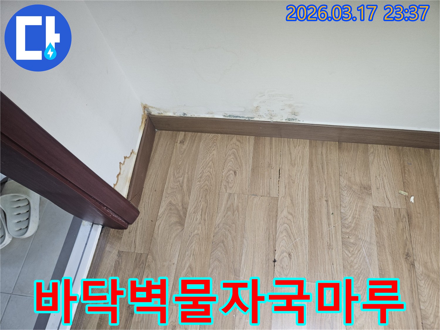 누수로 인해-바닥과-벽면에-물자국과-마루 손상이-발생한-주택-현장-사진입니다