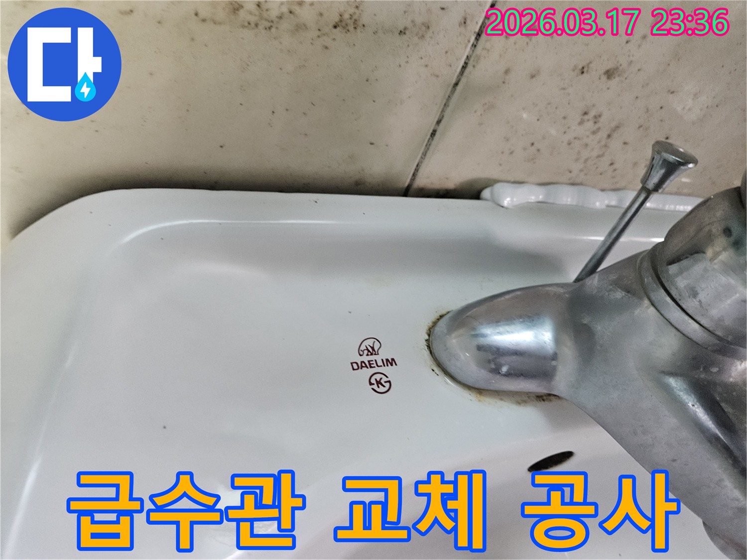 대림 세면대 뒤편 벽에- 짙게 번진 곰팡이와- 수도꼭지 하단- 녹슨 부위를 보여주는 사진입니다