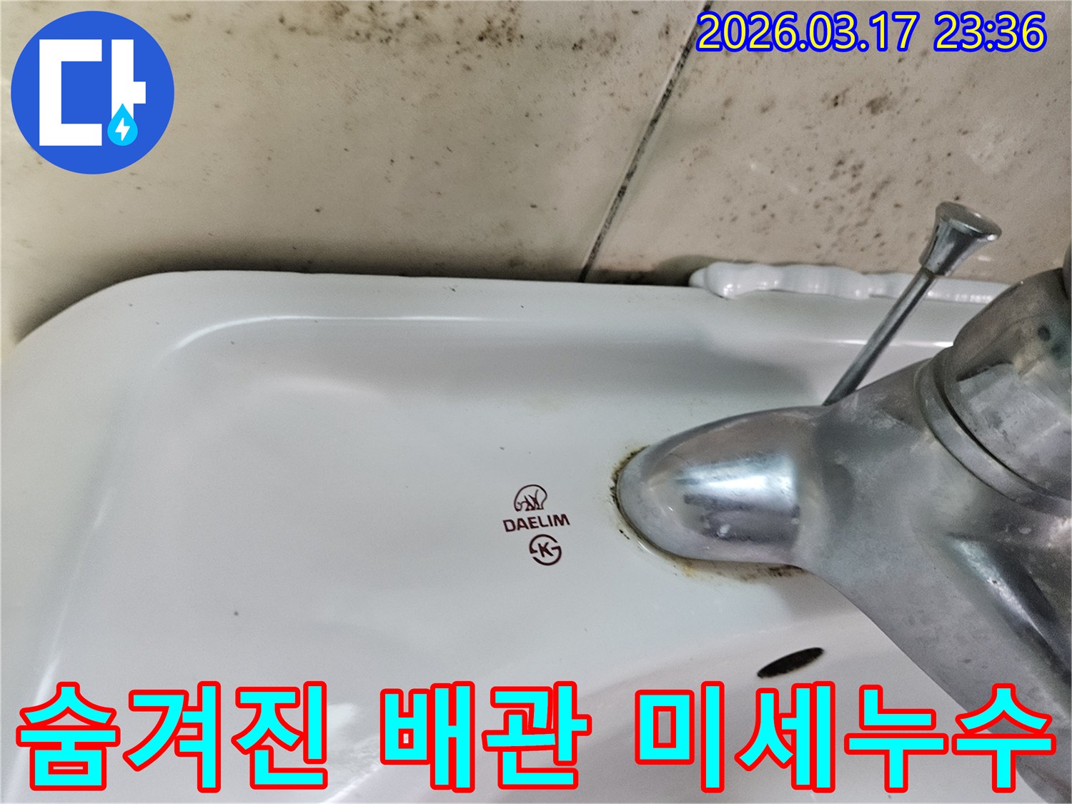 세면대 뒤편 벽에- 심각하게 번식한 곰팡이가- 숨겨진 배관의 미세 누수를- 강력히 시사합니다