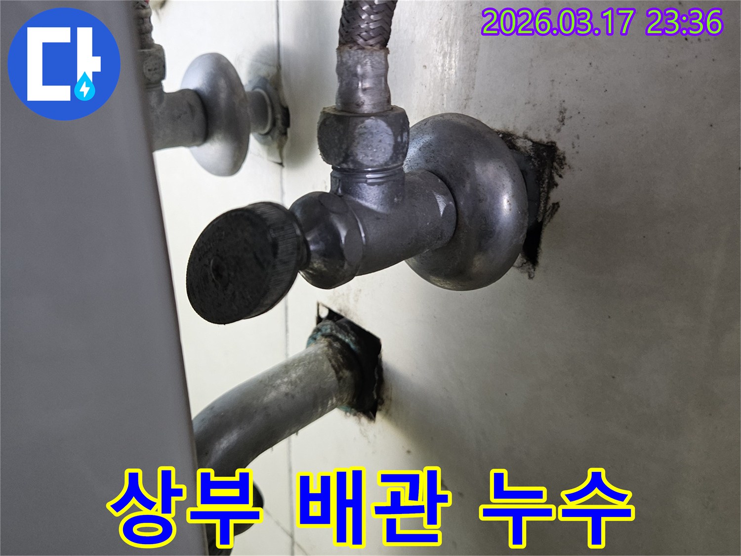 싱크대 상부 캐비닛 안쪽-배관이 천장을 통과하는 지점에서-물이 새어 나와-주변이 오염된 현장입니다.