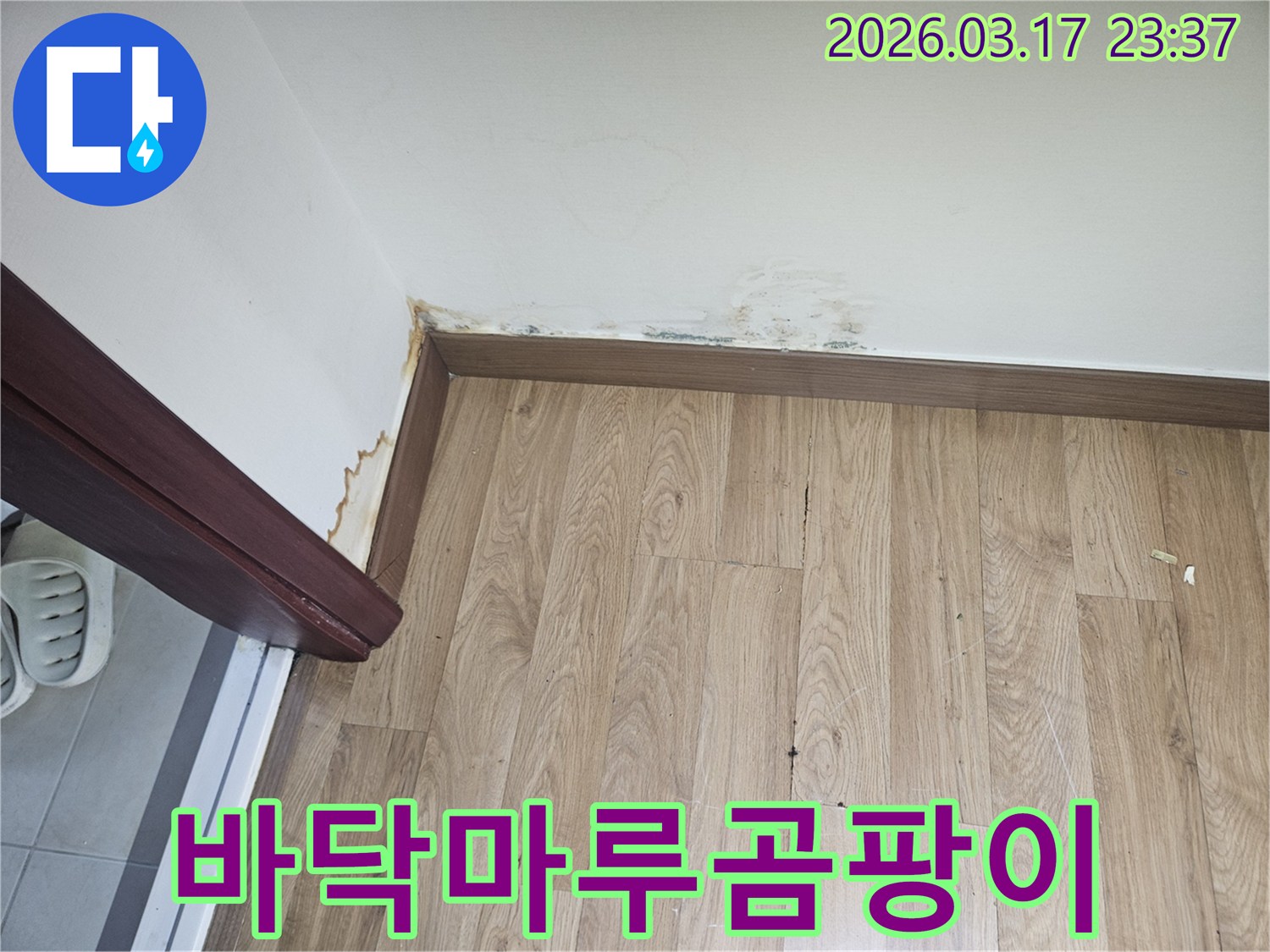 아파트 바닥 마루가-들뜨고-벽면에-곰팡이가-발생한-누수 현장-사진입니다