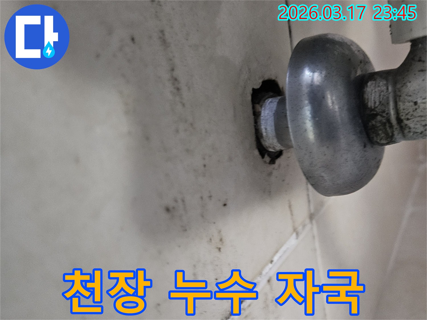 오랜 시간 지속된 누수로 인해-천장 마감재가 손상되고 곰팡이가 번식했습니다