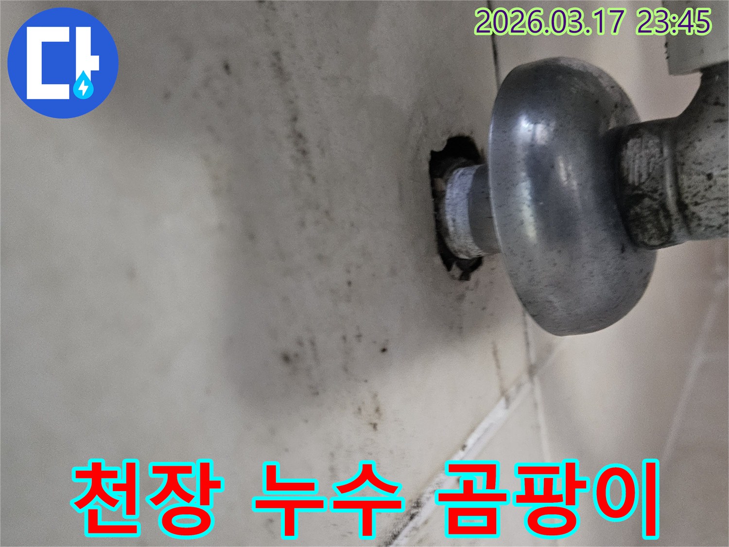 오랜 시간 지속된 누수로 인해-천장 마감재가 손상되고 곰팡이가 번식했습니다