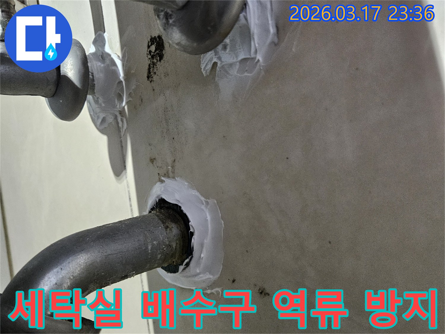 이 이미지는 병점동 아파트 세탁실 바닥 배수구의 역류로 인한 누수를-사전에 방지하기 위해 특수 방수 실란트로 꼼꼼하게 밀봉하는 과정을 보여줍니다-견고하고 오래가는 보수입니다.
