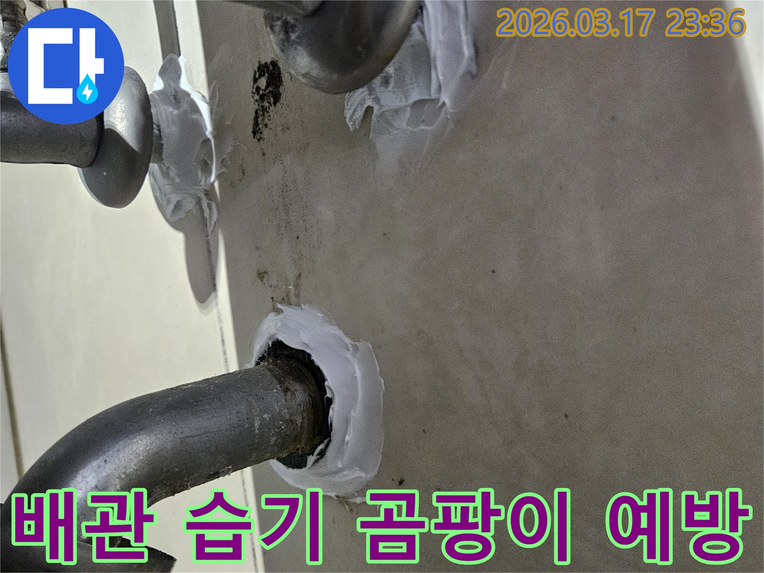이 이미지는 빌라 배관 주변의 누수로 인한 습기를 제거하고-곰팡이 발생을 막기 위해 방수 실란트로 실링을 강화하는 과정을 보여줍니다-위생적이고 안전한 보수입니다.