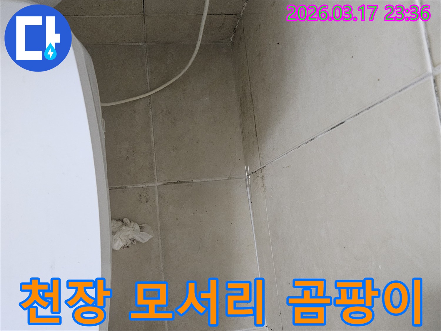 이 이미지는-천장-모서리-부분에-집중적으로-발생한-검은-곰팡이와-오염을-보여주며-이는-누수로-인한-지속적인-습기-침투가-원인임을-시사합니다