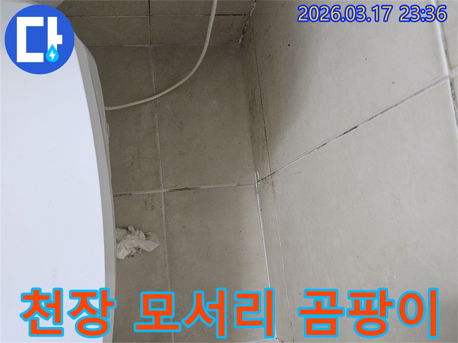 이 이미지는-천장-모서리-부분에-집중적으로-발생한-검은-곰팡이와-오염을-보여주며-이는-누수로-인한-지속적인-습기-침투가-원인임을-시사합니다