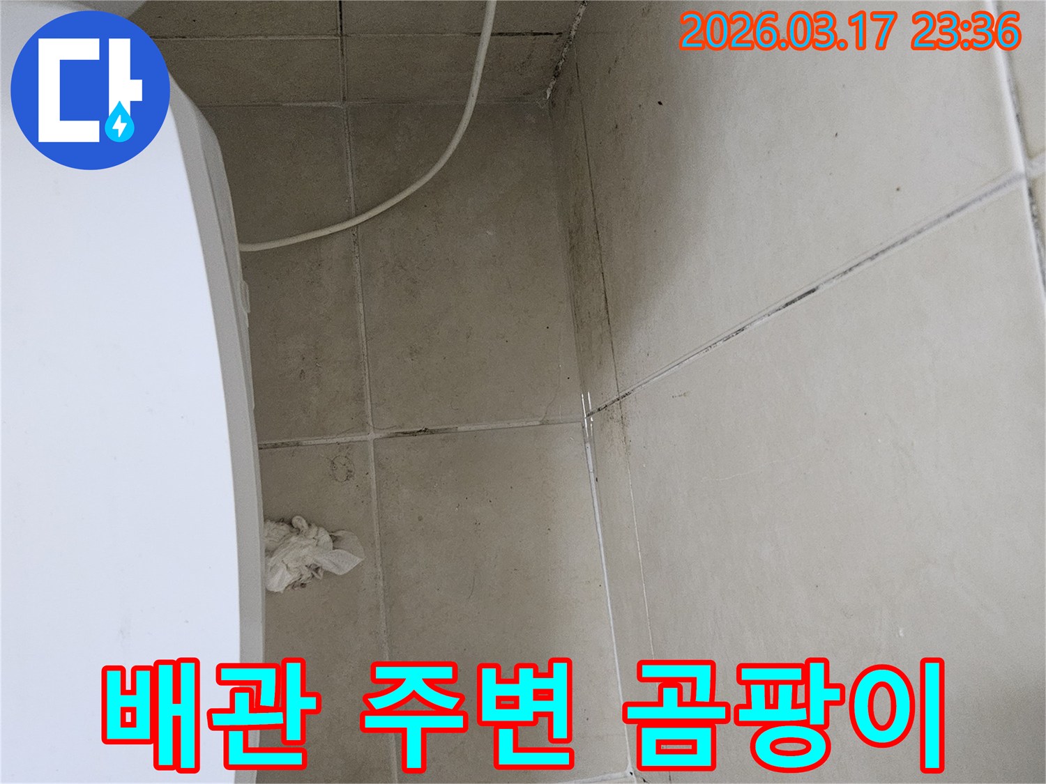 이 이미지는-천장-타일과-벽면-모서리에-발생한-검은-곰팡이를-보여주며-이는-배관-누수로-인한-지속적인-습기-침투가-원인임을-시사합니다