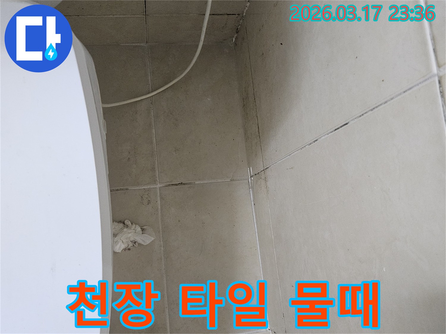 이 이미지는-천장-타일과-벽면-모서리에-발생한-짙은-물때와-곰팡이를-보여주며-이는-누수로-인한-지속적인-물샘-현상을-의미합니다