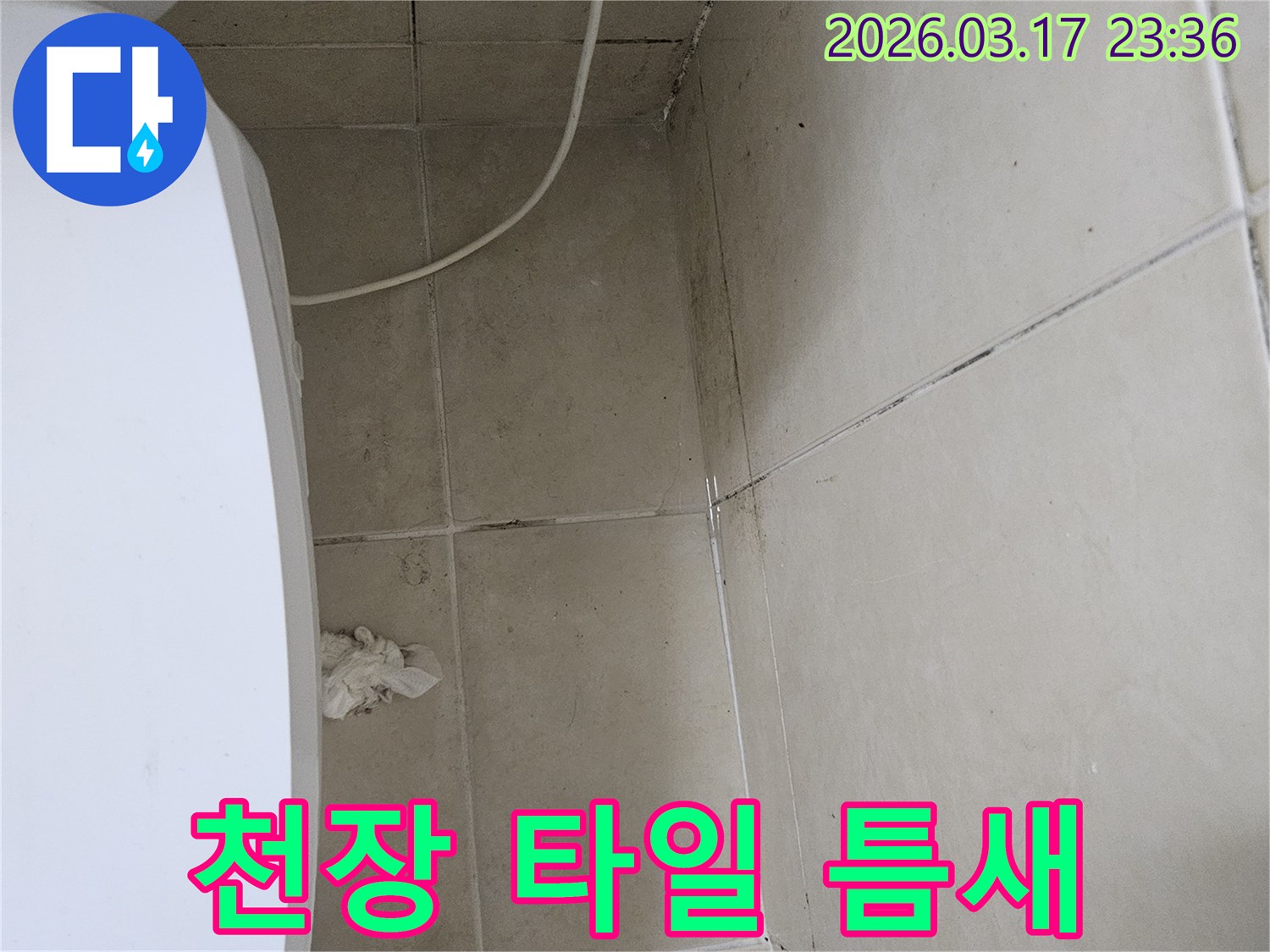 이-이미지는-천장-타일의-틈새와-그-주변에-발생한-검은-오염과-곰팡이를-보여주며-이는-누수로-인한-지속적인-습기-침투를-의미합니다