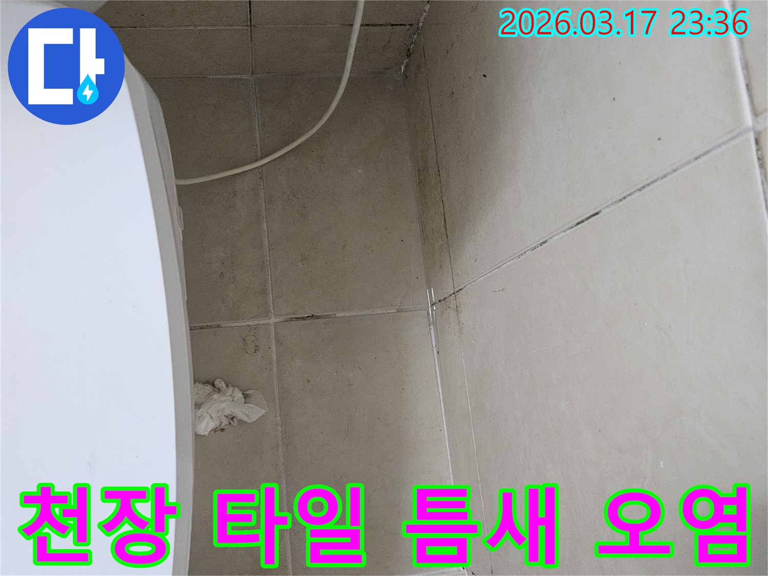 이-이미지는-천장-타일의-틈새와-그-주변에-발생한-검은-오염과-곰팡이를-보여주며-이는-누수로-인한-지속적인-습기-침투를-의미합니다