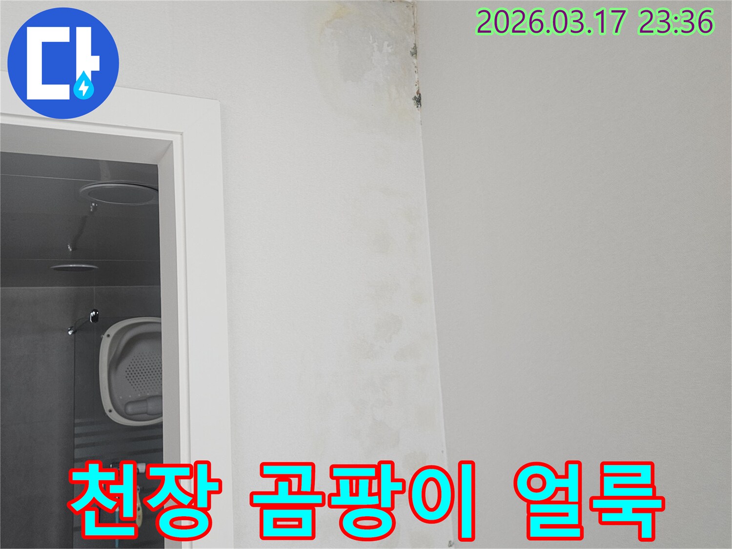 천장-모서리에-발생한-곰팡이와-물-얼룩-확인