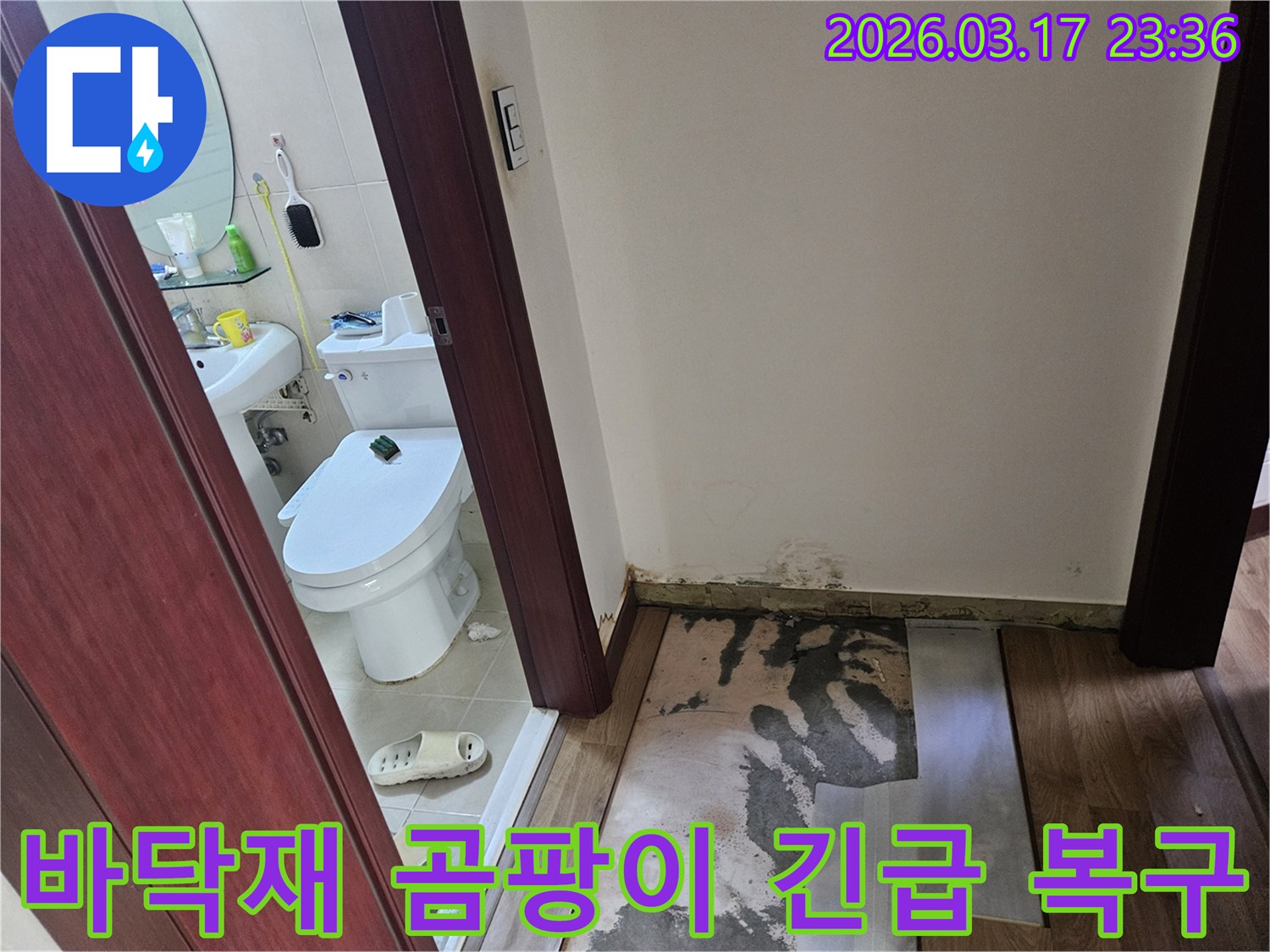 화장실 입구 벽면 하단에-누수로 인한-심각한 곰팡이가 발생하여-바닥재가 제거된-현장 사진입니다