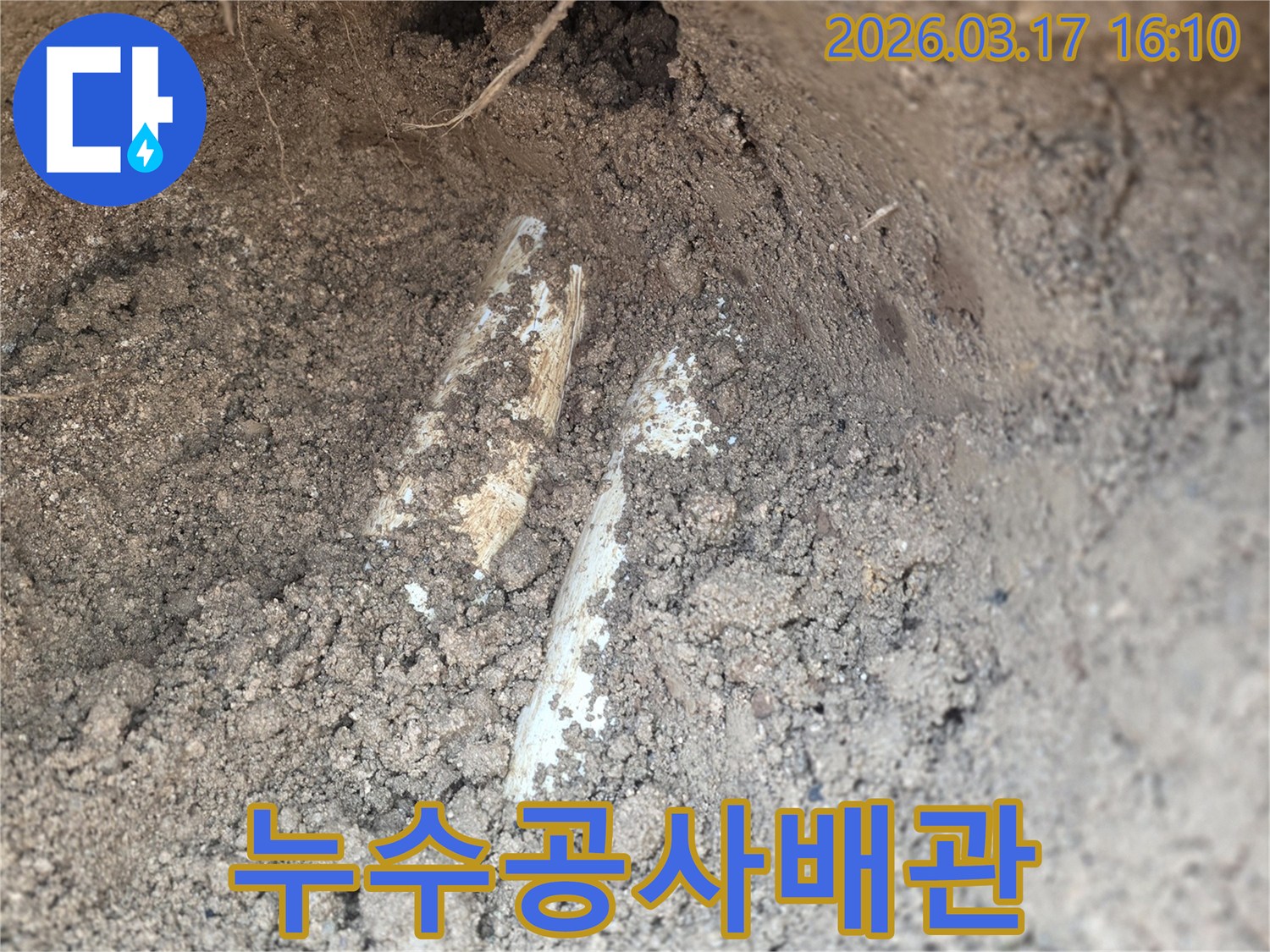 누수 공사를 위해-땅속에 묻힌 배관을-조심스럽게 노출시킨 장면입니다.