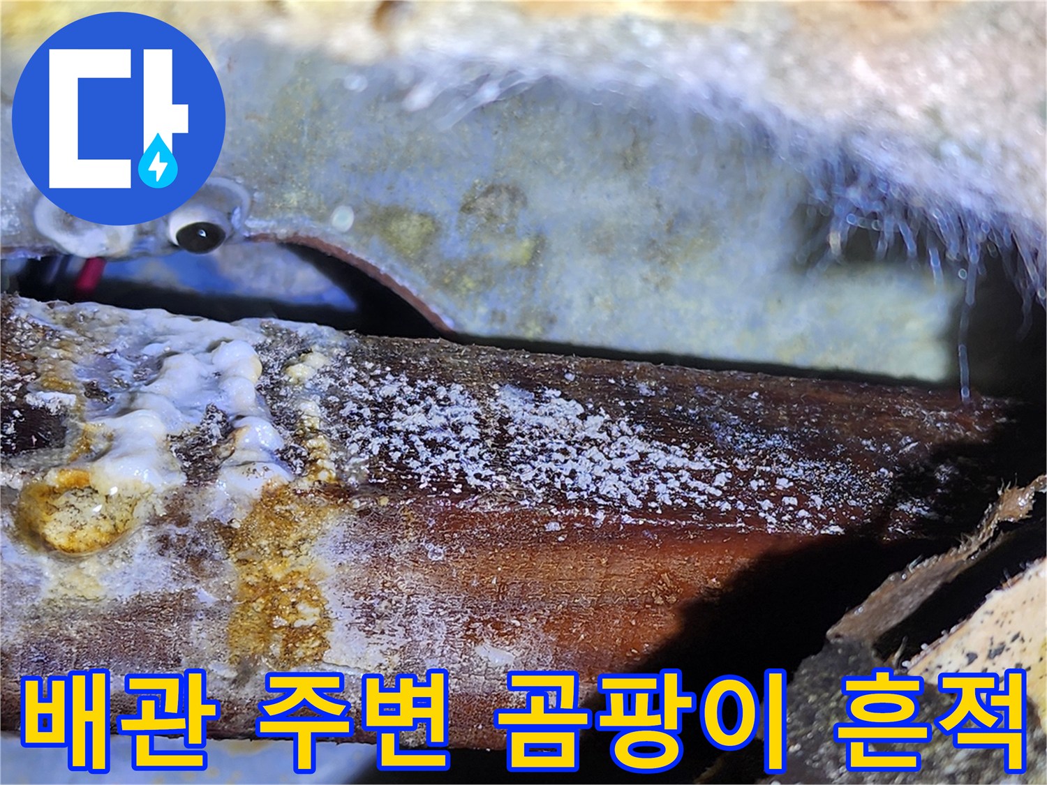 누수로 인해 오염된-나무 구조물과 배관 주변부
