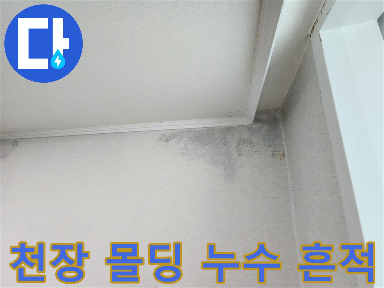분당 정자동 아파트-천장과 벽면 사이의 누수 오염 부위