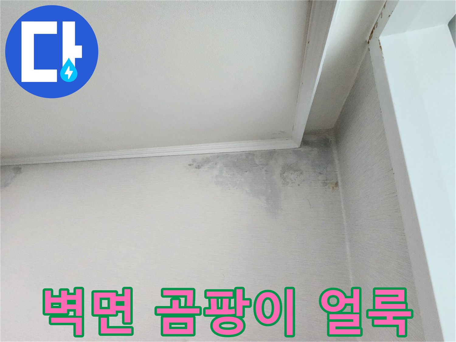 아파트 거실 벽면 - 누수로 인해 발생한 곰팡이와 습기 오염 부위