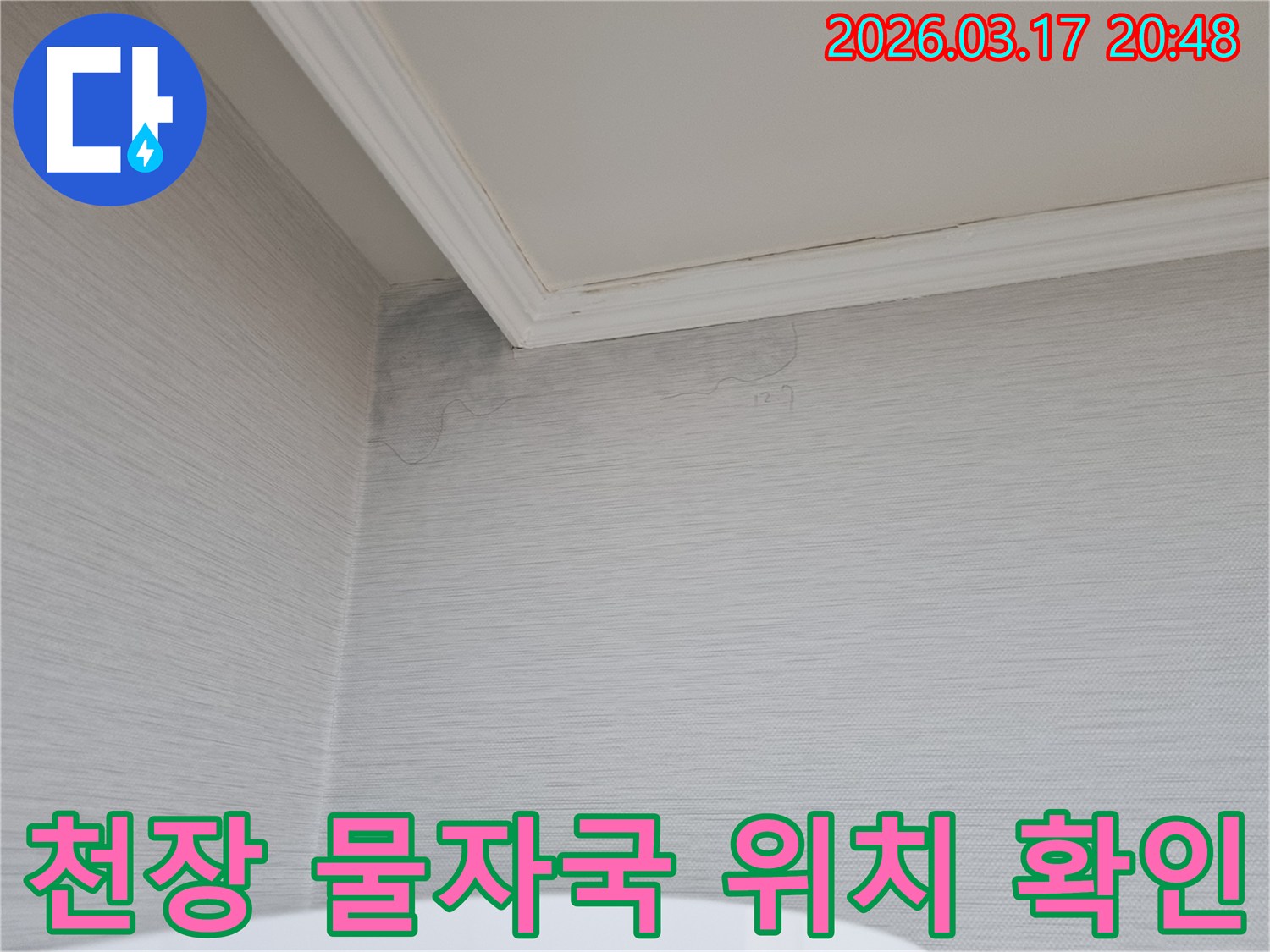 천장과 벽면 코너에 나타난 물자국-누수 전문가가 정확한 누수 위치를 확인하기 위해 현장을 점검하고 있습니다
