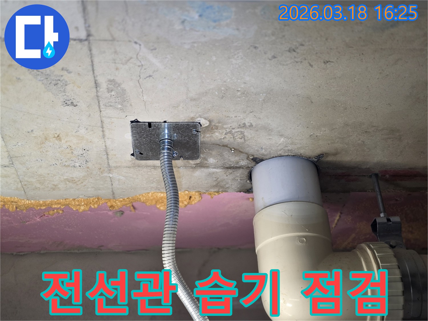 김포-빌라-천장-누수-현장-전선관-주변-습기-안전-점검-작업