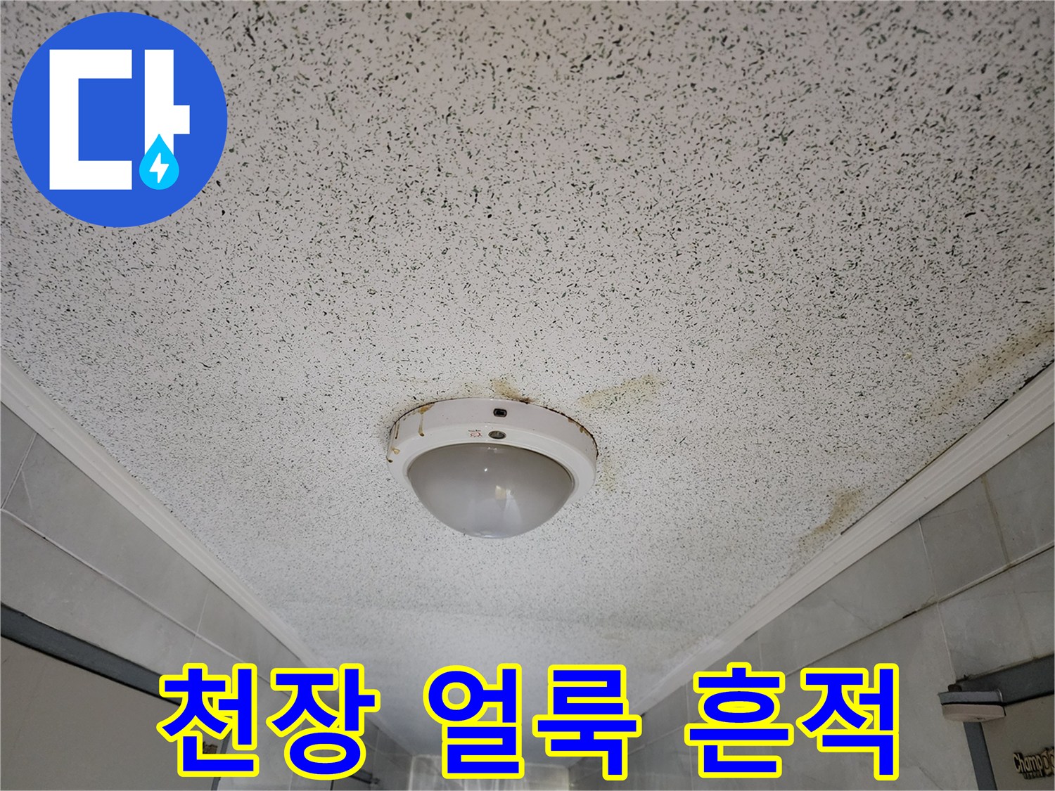 사근동 복도 천장 전등 주변의 누수 얼룩 상태