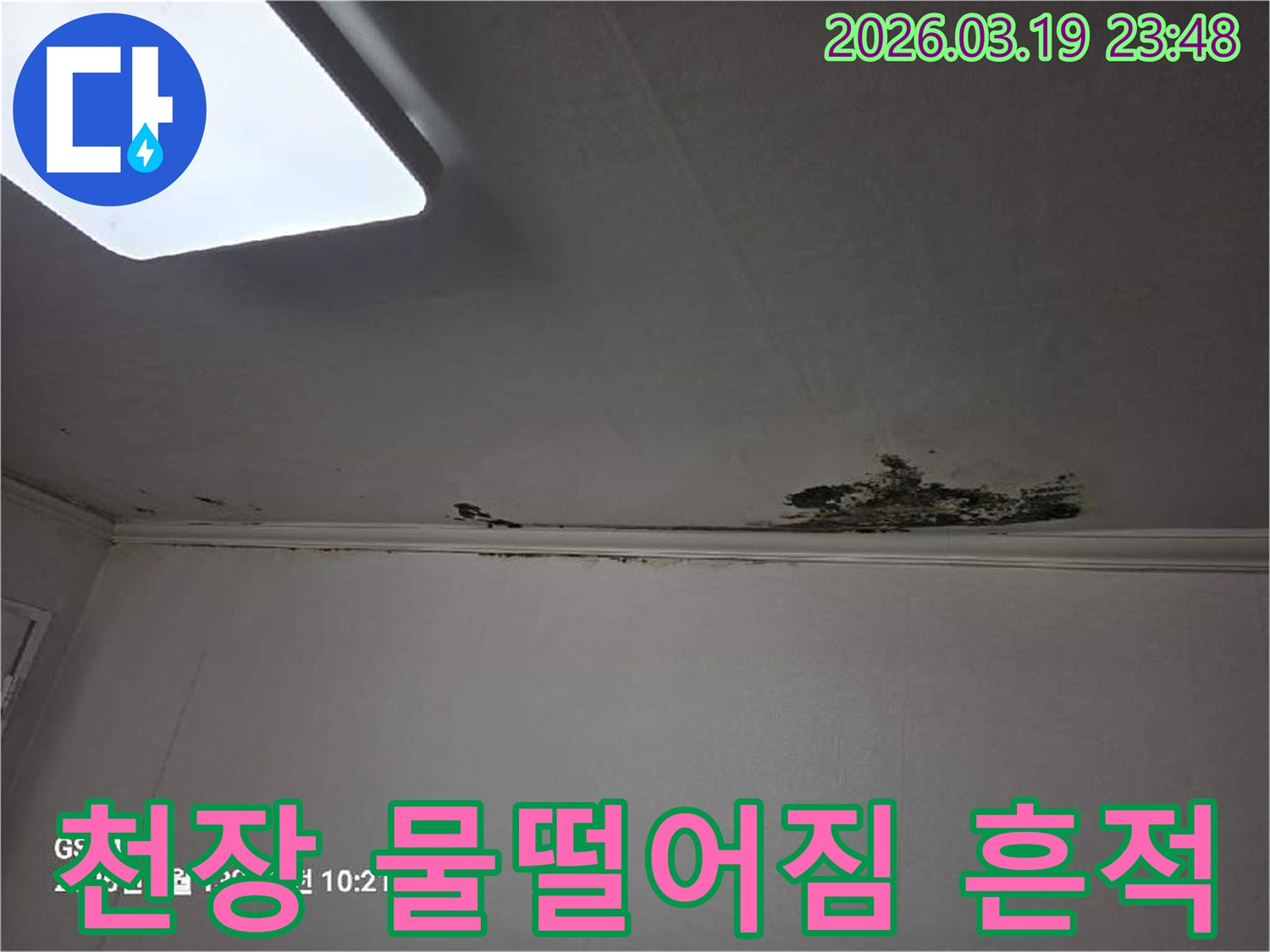 천장-모서리-부분에-물이-새어-들어-벽지가-젖고-손상된-모습을-보여주는-사진