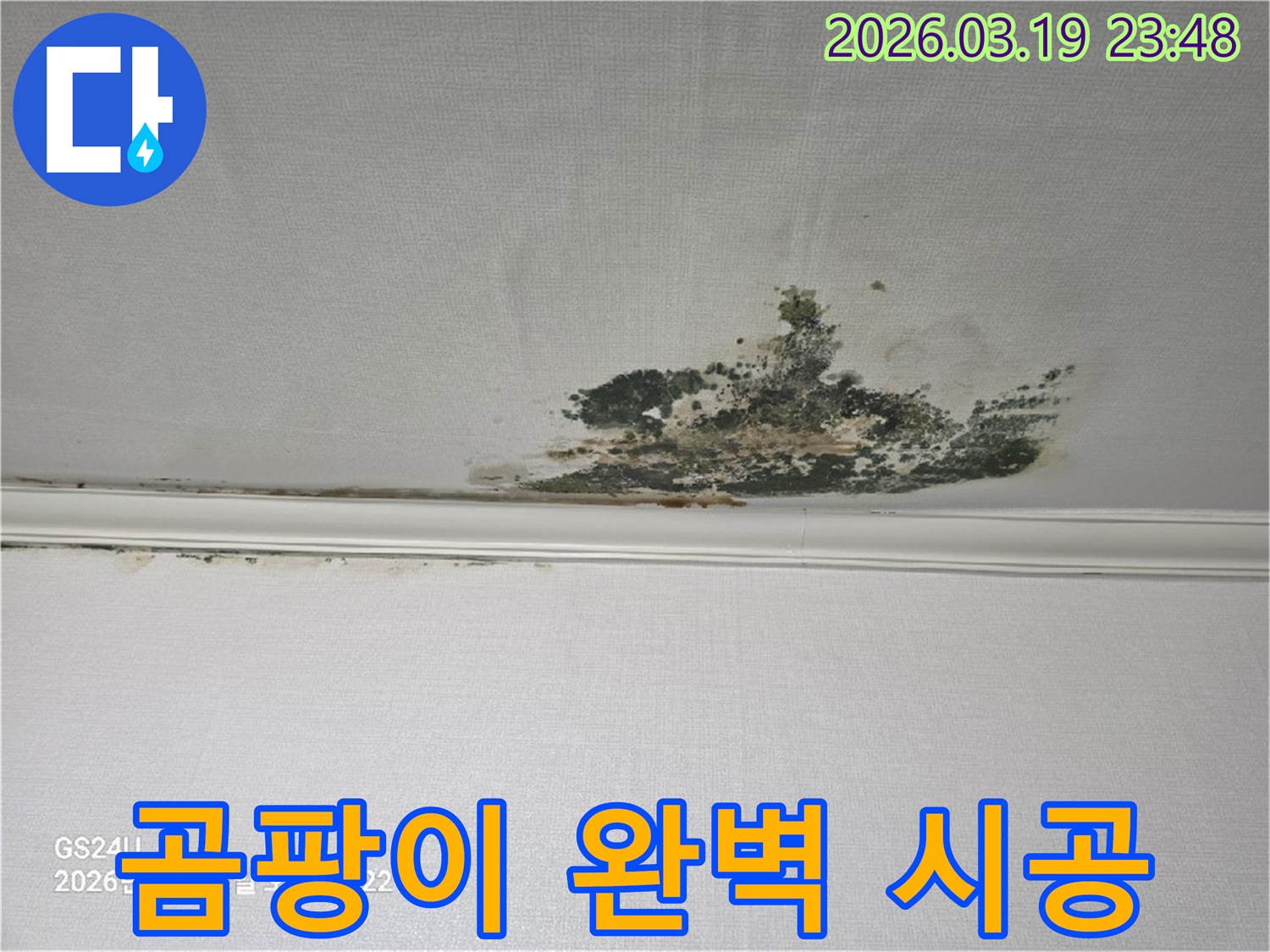 천장-벽지에-발생한-심각한-누수-곰팡이-오염-현장으로-완벽한-시공이-필요한-상태
