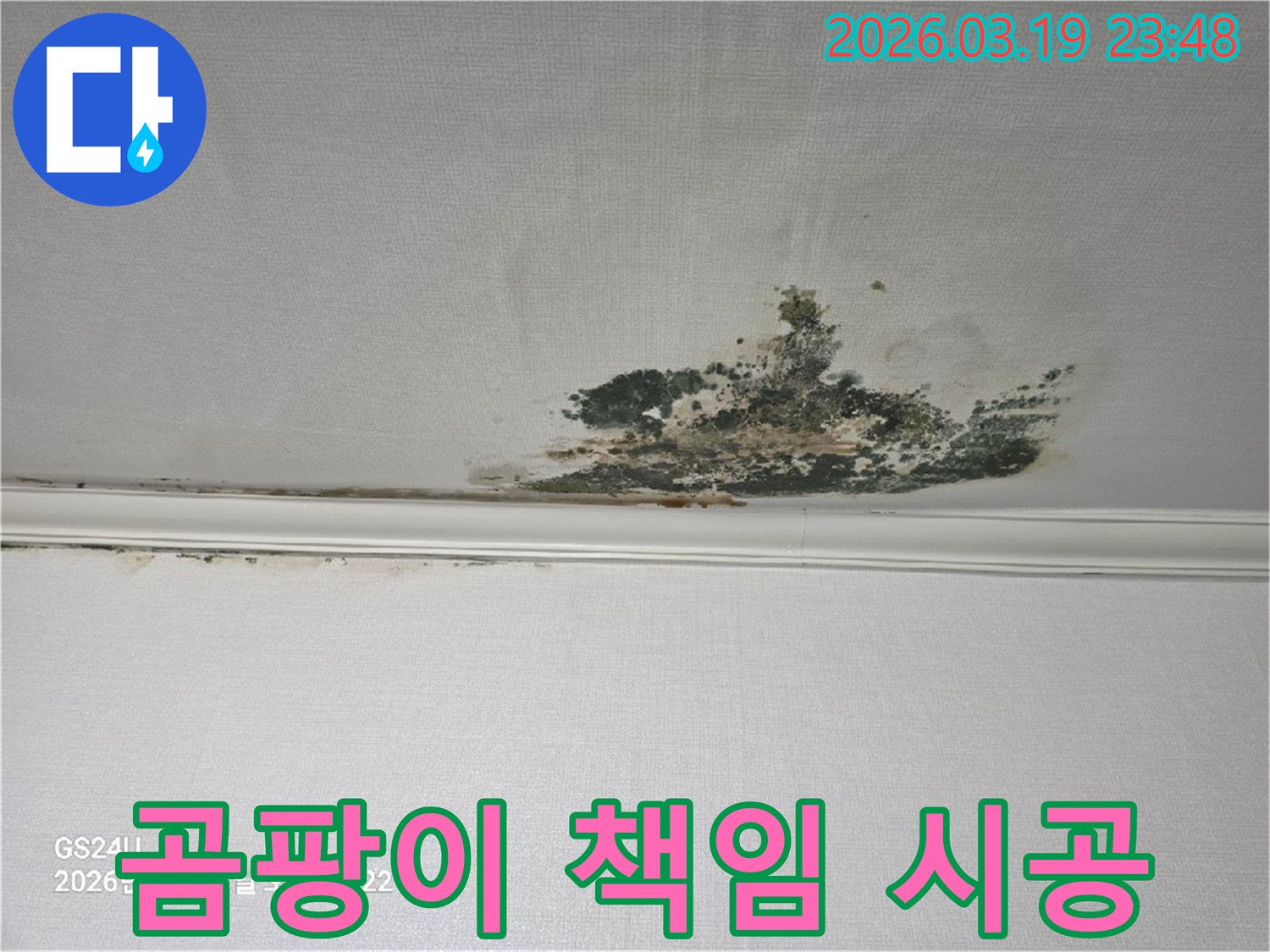 천장-벽지에-발생한-심각한-누수-곰팡이-오염-현장으로-책임감-있는-시공이-필요한-상태