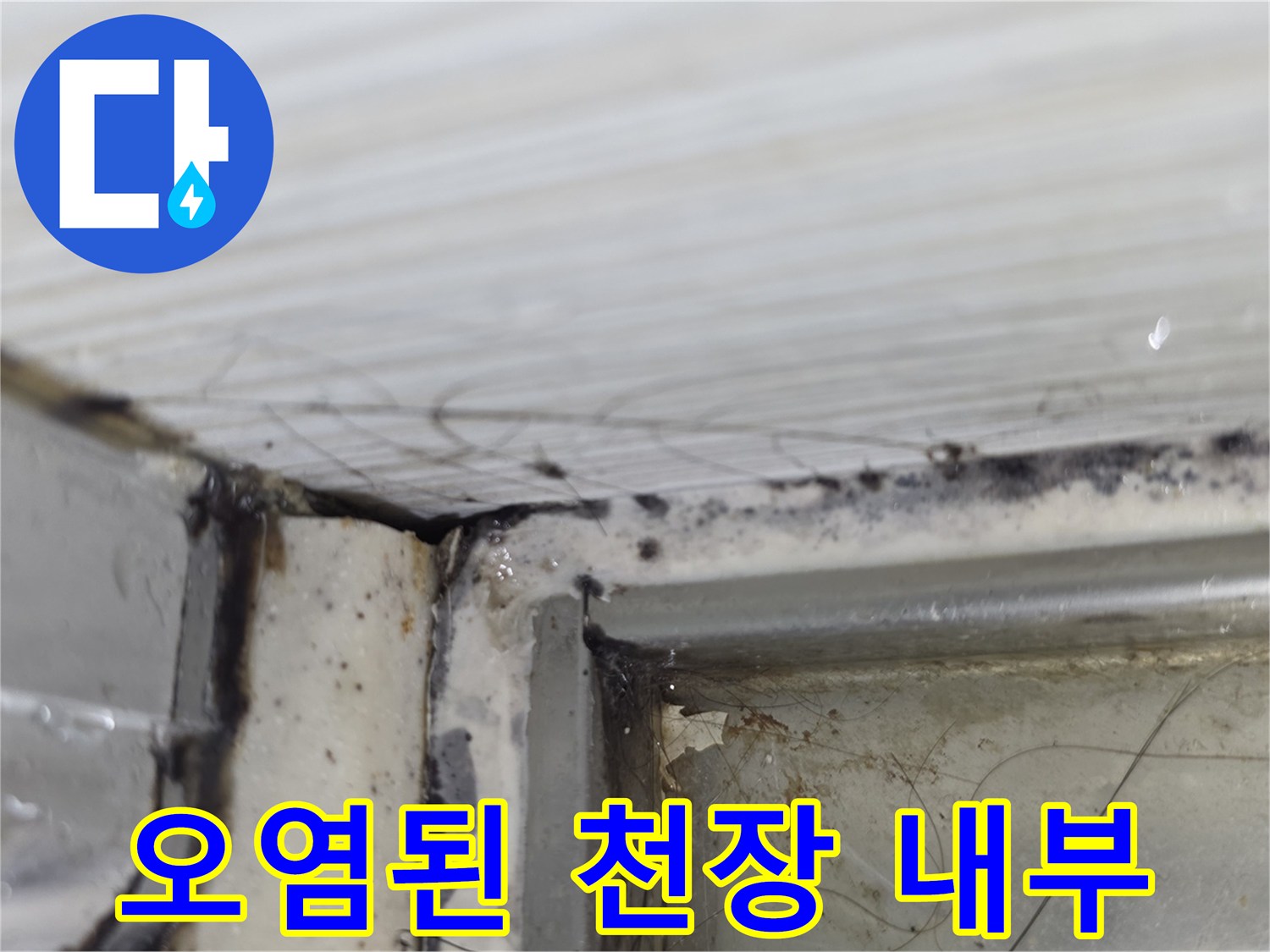 물샘-현상으로-인해-검게-변한-천장-내부-배관