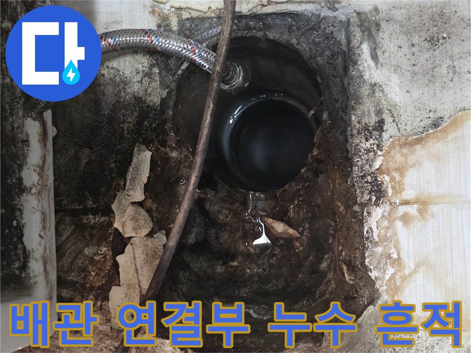 오수관 주변의 오염된 바닥과 배관 노출 상태 - 누수 진단 과정