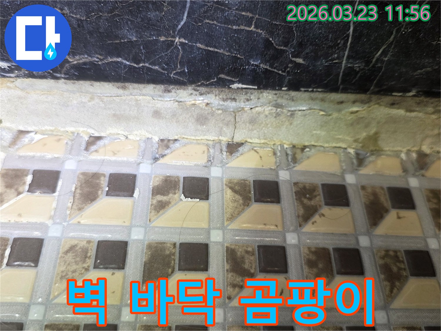 이-사진은-하남-지역의-주택에서-발견된-벽과-바닥-사이의-곰팡이와-누수-현장을-보여줍니다-오래된-줄눈의-손상과-주변-벽면의-오염이-뚜렷합니다