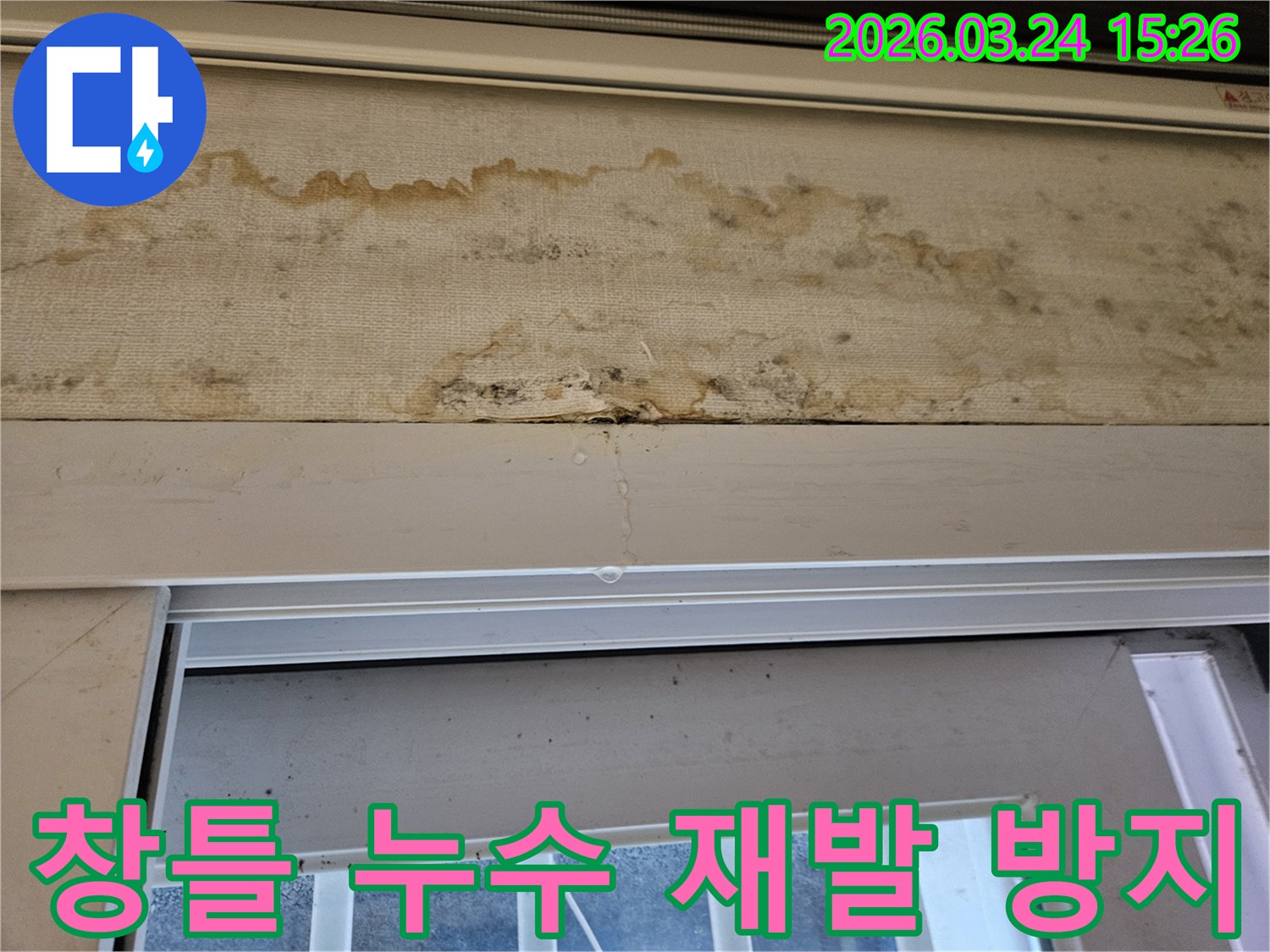 빌라 베란다 창틀 상단에서 물이 새고 벽지에 곰팡이가 발생한 누수 현장을 꼼꼼한 시공으로 재발 방지하는 모습
