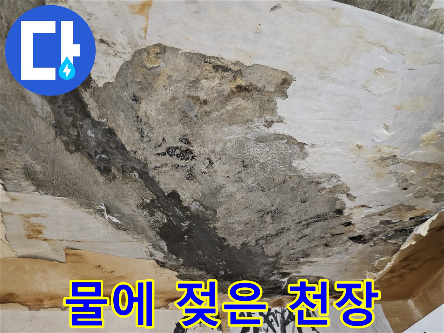 천장 벽지가 수분으로 인해 짙게 변한 모습