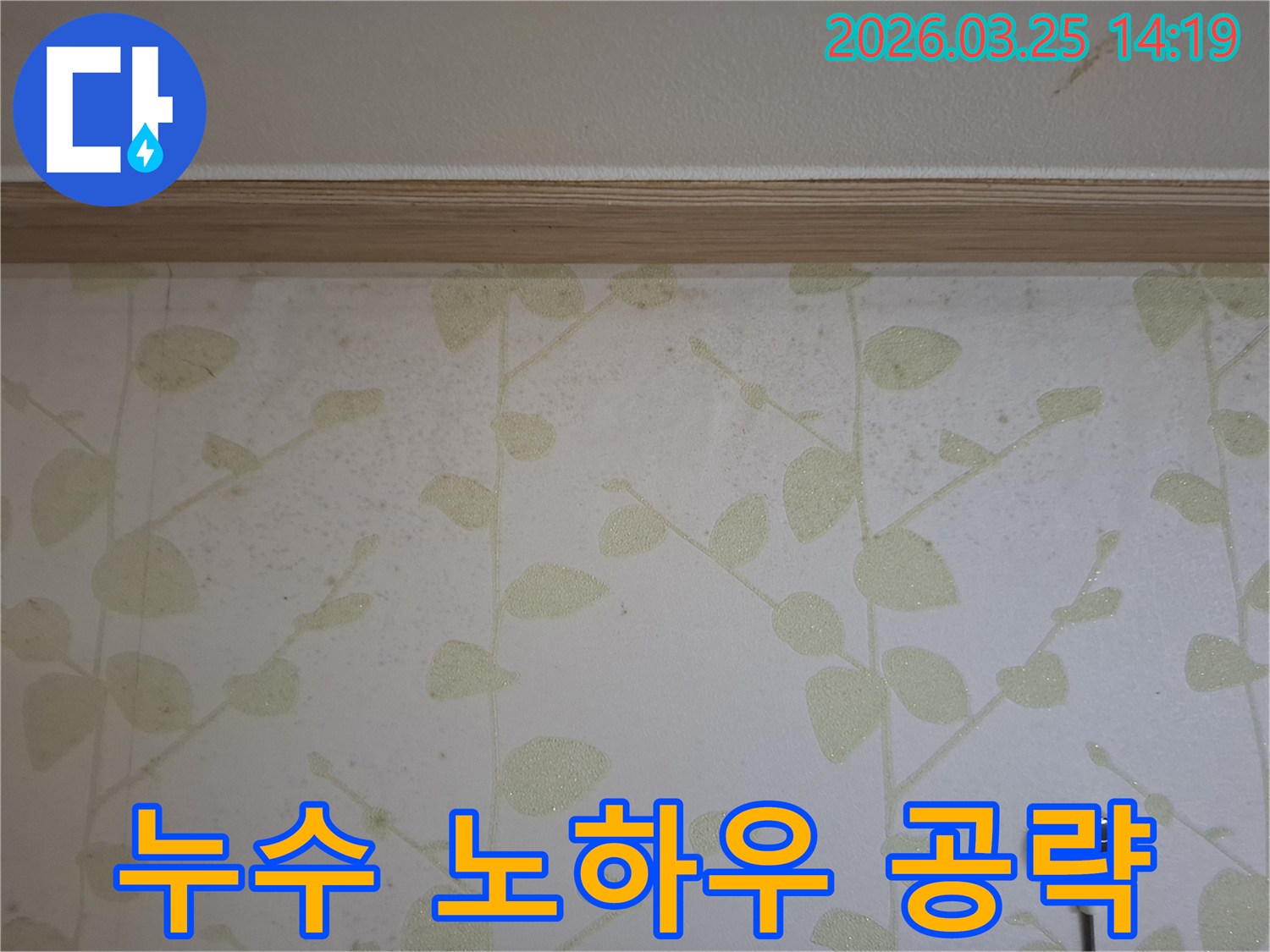 벽지-젖음-누수-현상-완벽-공략-오랜-경험에서-나오는-전문가의-노하우-활용