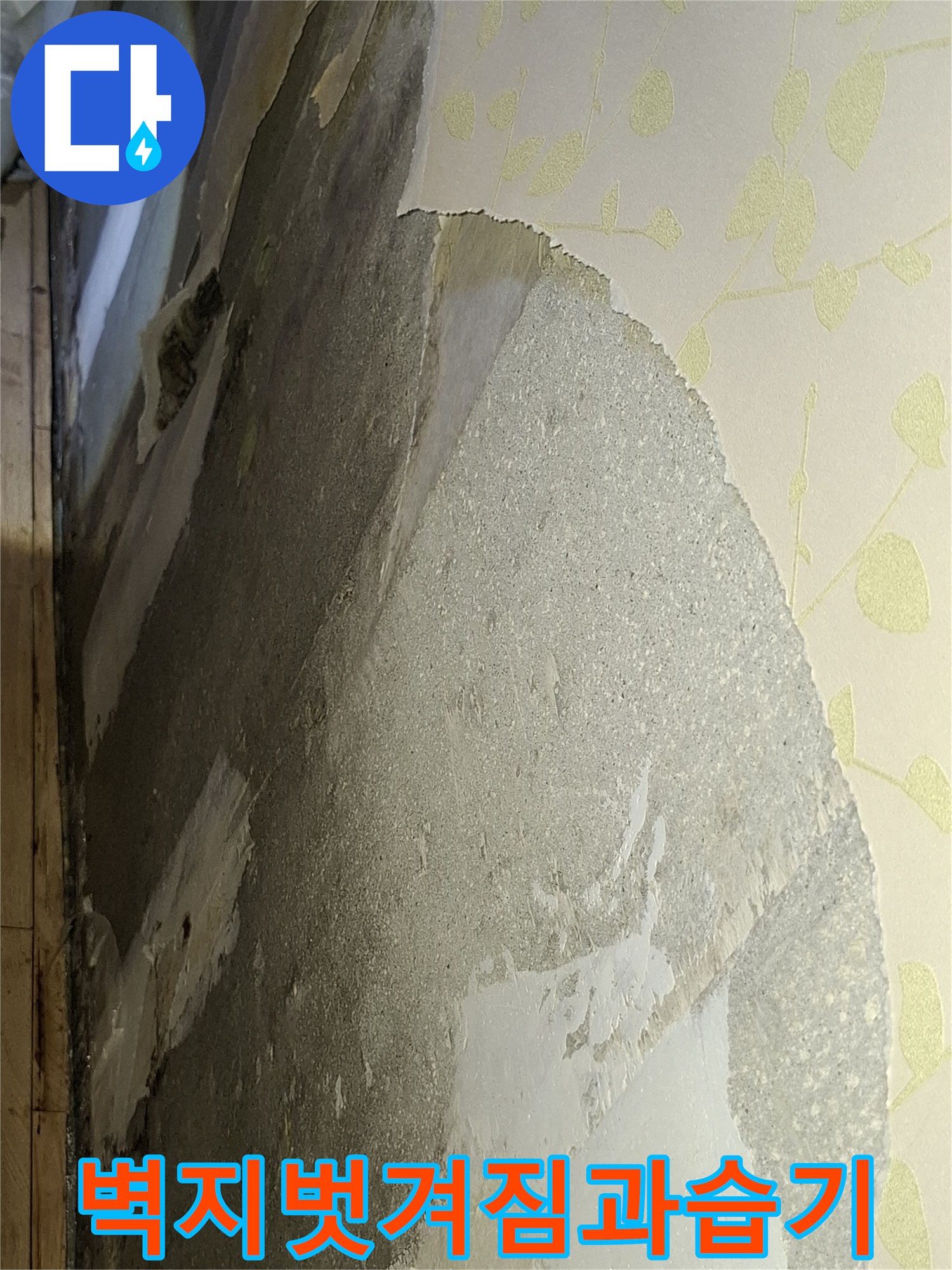 벽지가-벗겨지고-내부-콘크리트가-젖어있는-상태